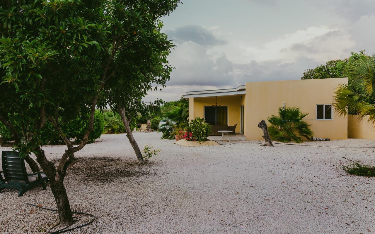 Hidden Garden Aruba Hotel Babijn Kamer foto