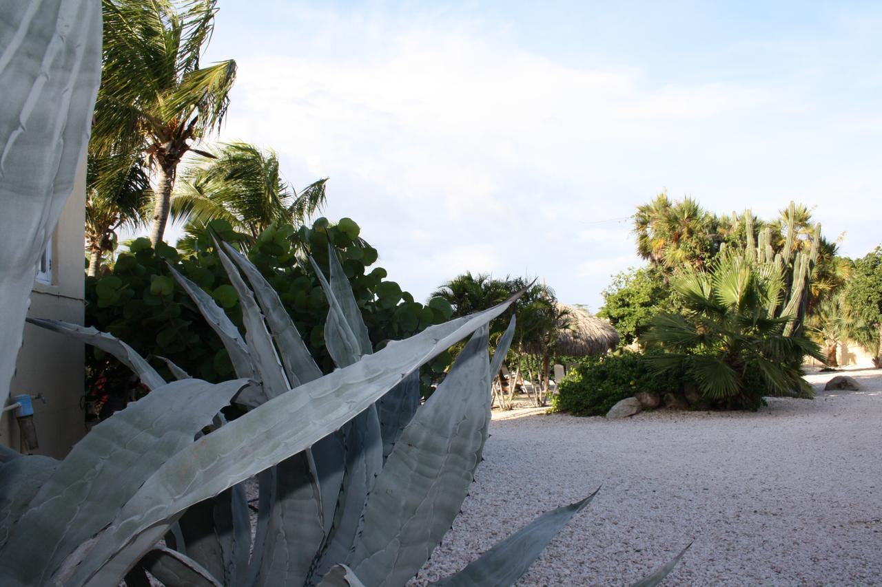 Hidden Garden Aruba Hotel Babijn Kamer foto